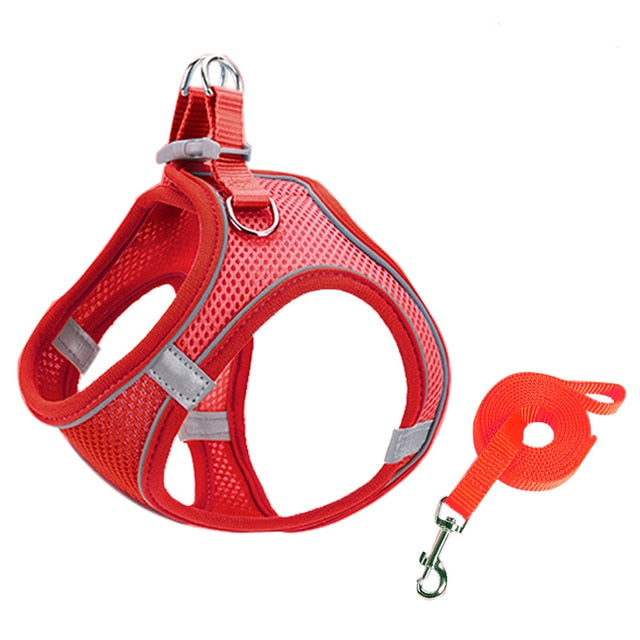 Escape Proof Small Pet Harness Leash Set Red / L GD Home Goods
