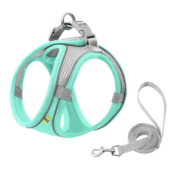 Escape Proof Small Pet Harness Leash Set Green / XS GD Home Goods