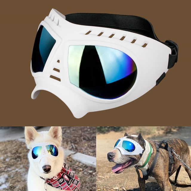Soft Frame Puppy Glasses White / L