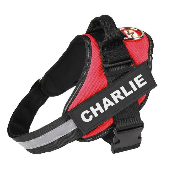 Personalized No Pull Dog Harness Red / M