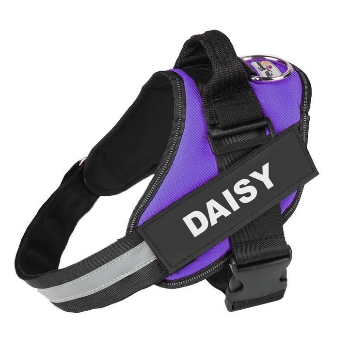 Personalized No Pull Dog Harness Purple / L