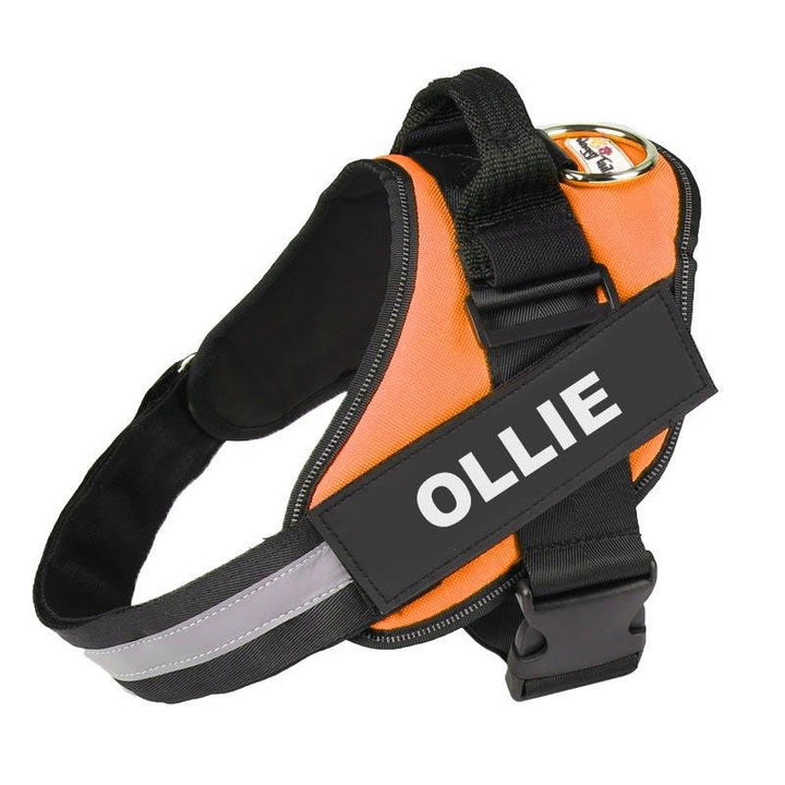 Personalized No Pull Dog Harness Orange / S