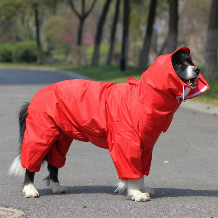 Dog Raincoat-Waterproof Jumpsuit Red / 12 GD Home Goods