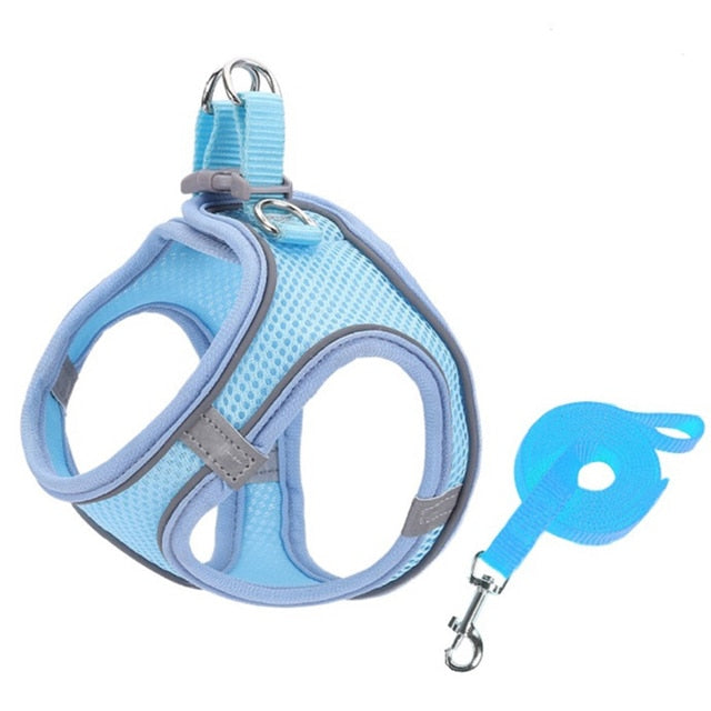 Escape Proof Small Pet Harness Leash Set Blue / XS GD Home Goods