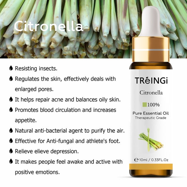 Essential Aromatherapy Oils Cinnamon / 10ml GD Home Goods