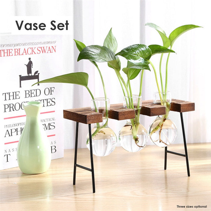 Glass and Wood Vase Planter Table Desktop