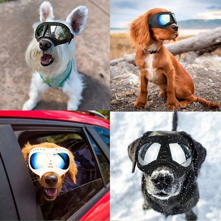 Soft Frame Dog Goggles