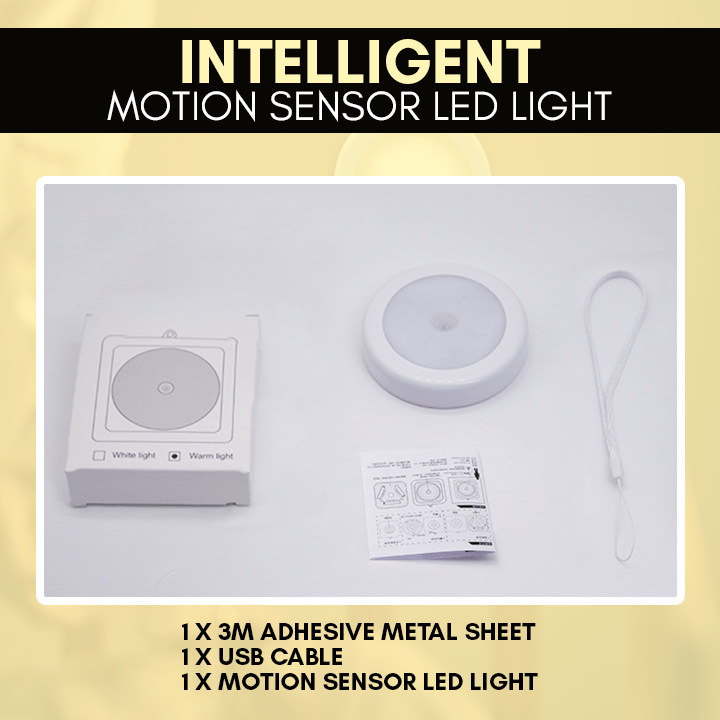 Motion Sensor LED Light
