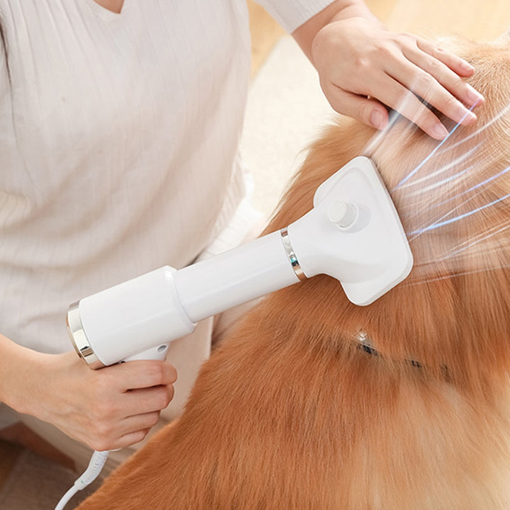 Portable 2-in-1 Dog Hair Dryer